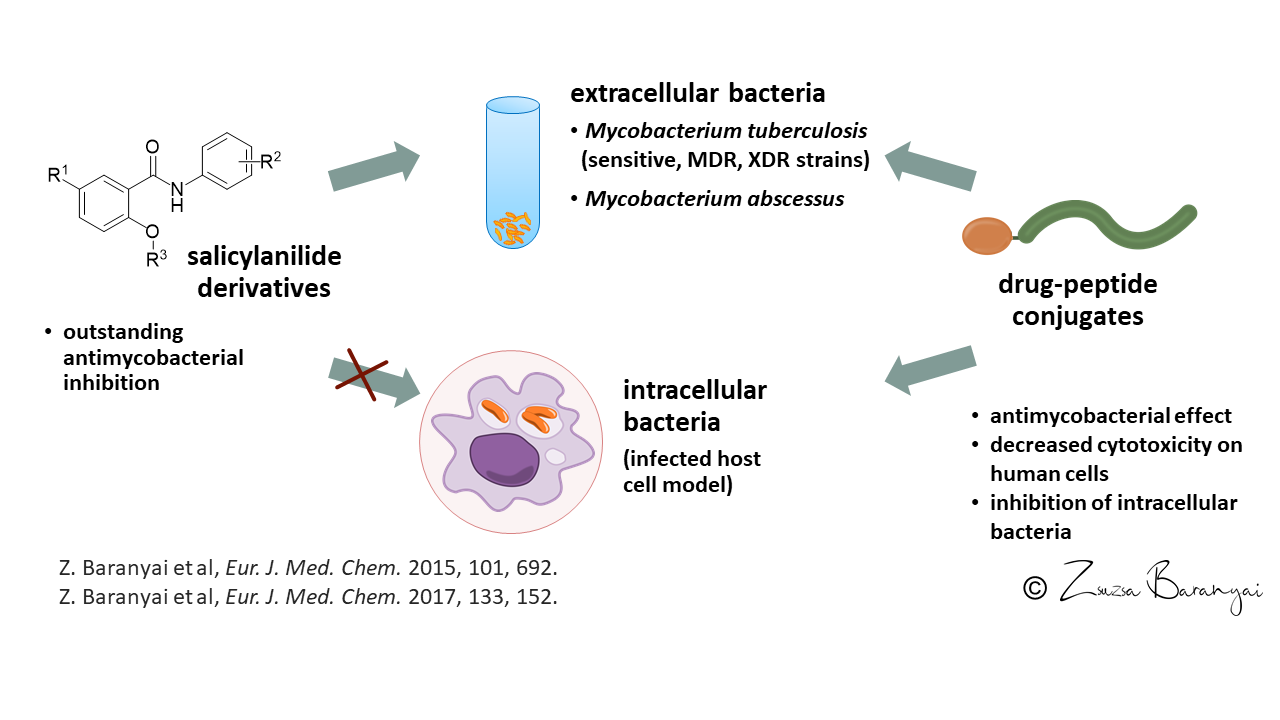 Targeted intracellular delivery of antitubercular agents by functionalized nanocapsules